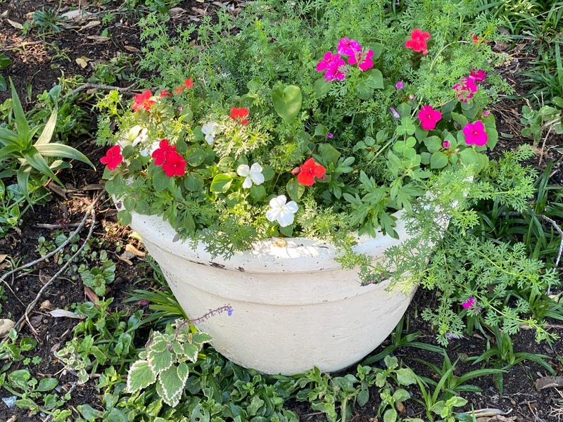 To Let 2 Bedroom Property for Rent in Crofters Valley Western Cape